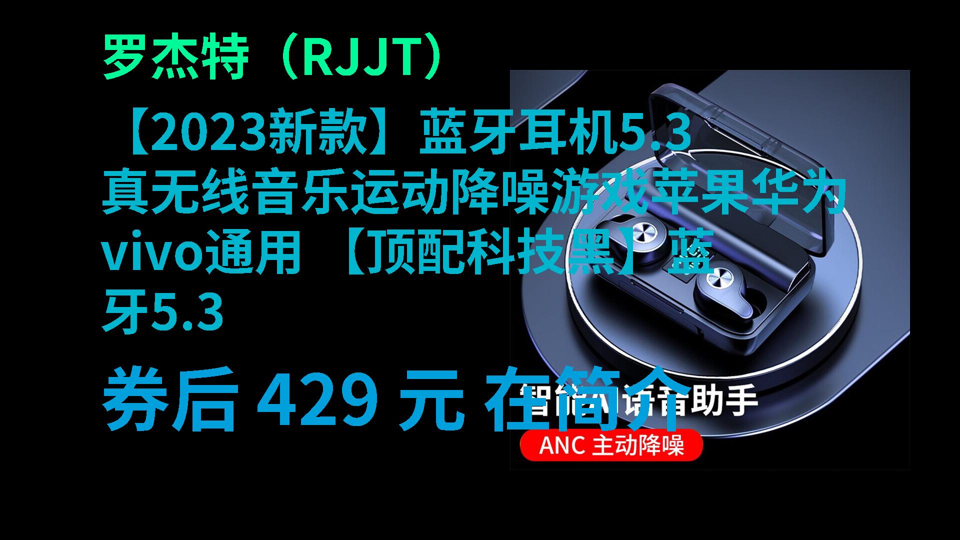 【隐藏优惠】 罗杰特（RJJT） 【2023新款】蓝牙耳机5.3真无线音乐运动降噪游戏苹果华为vivo通用 【顶配科技黑】蓝牙5.3 [限时优惠]