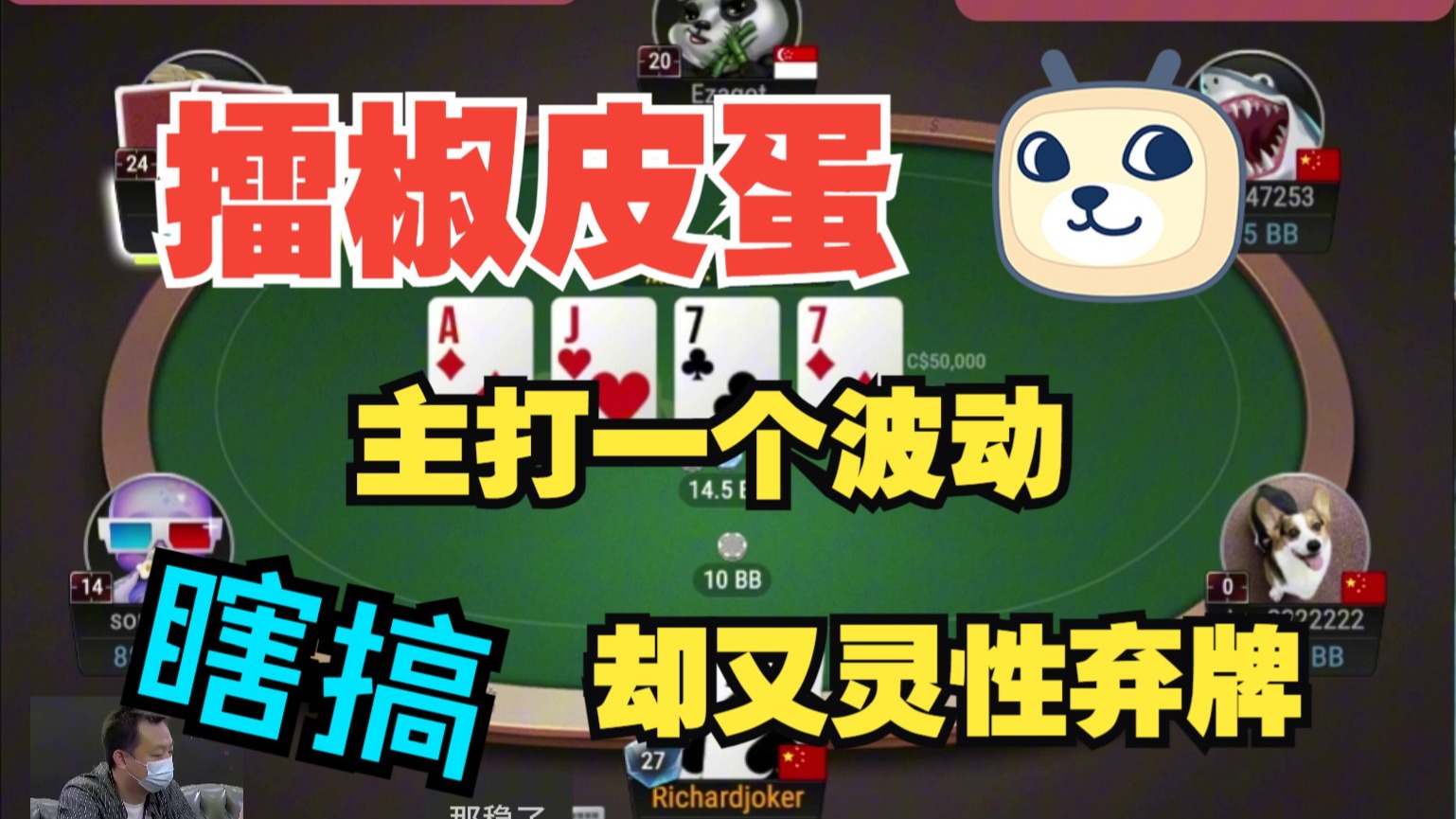 主打一个波动，却又灵性弃牌，有人想知道为什么吗？
