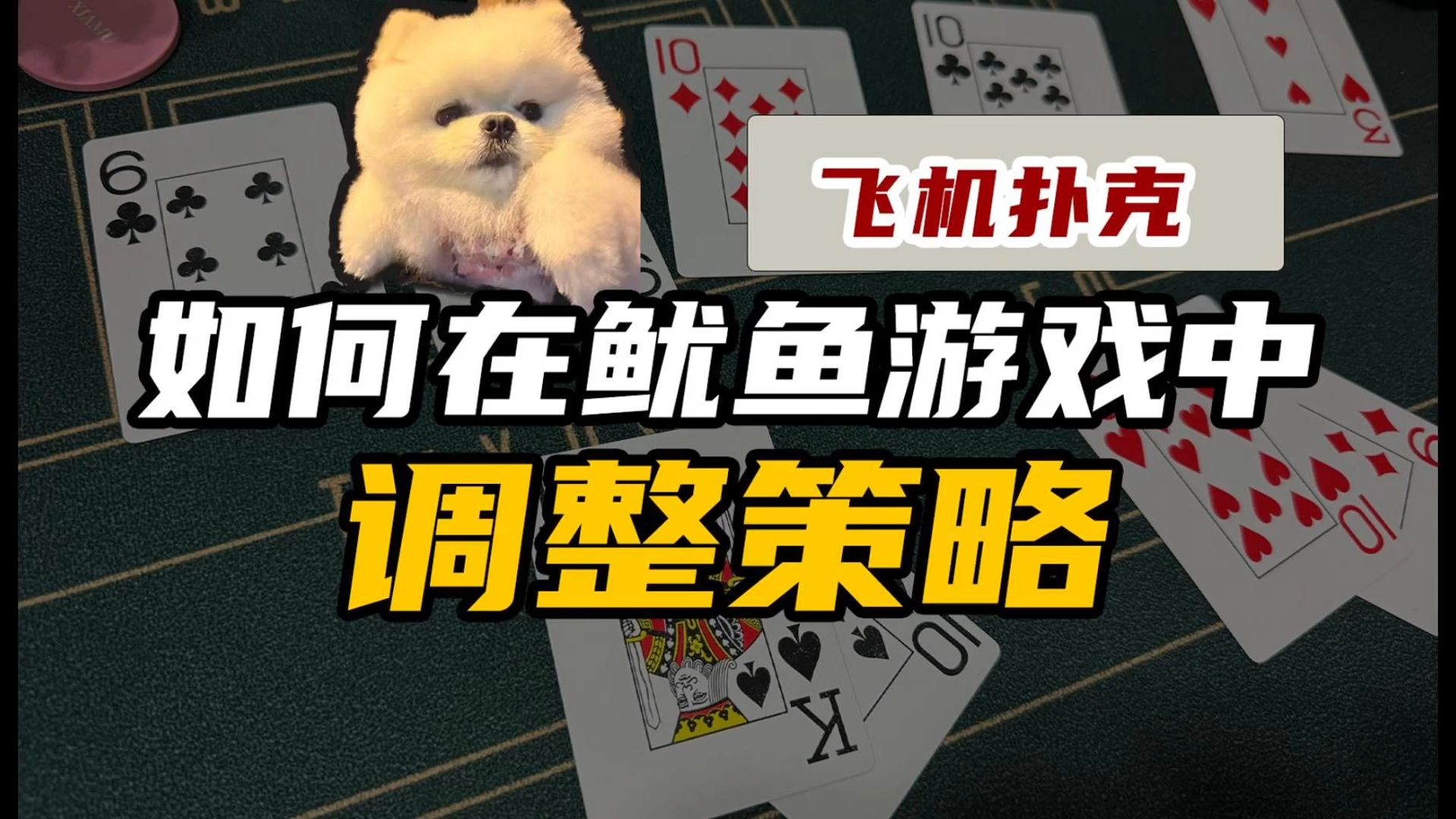 poker_vlog_2: 狂野鱿鱼游戏homegame