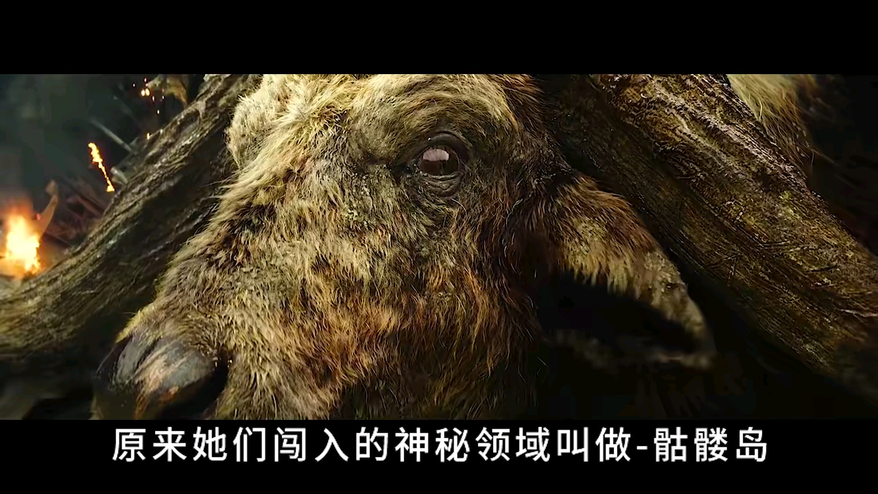 奇怪wpk俱乐部影谈：奇怪~又长脑洞了！ 狙击手意外发现，一只远古怪鸟！