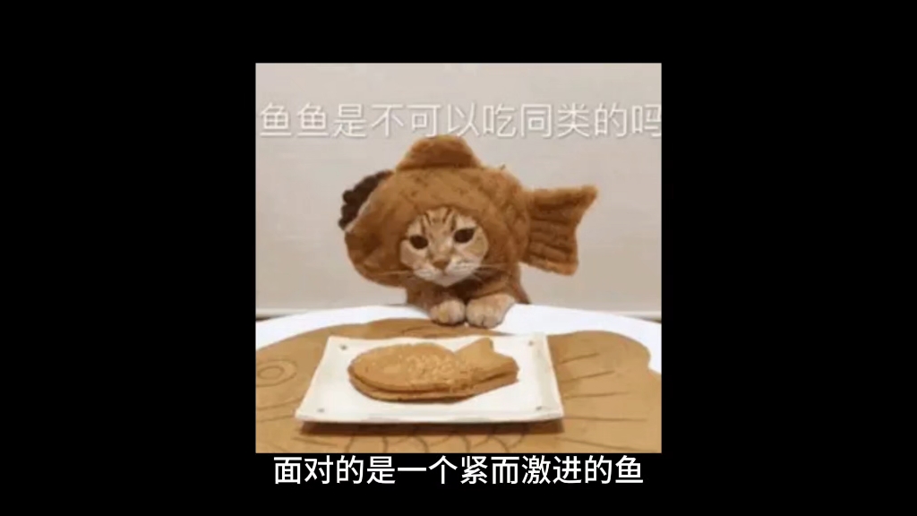 【鲁邦盗-德扑资本学院】最新视频已上线，快来围观！