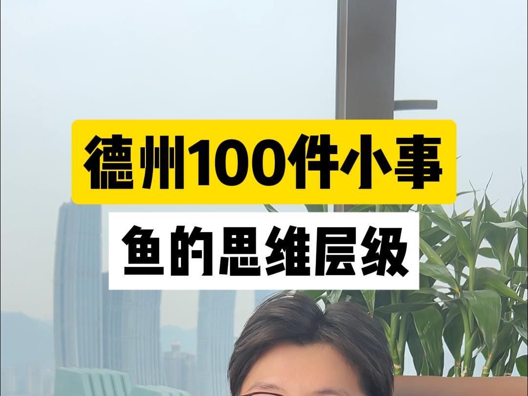 鱼的思维层级