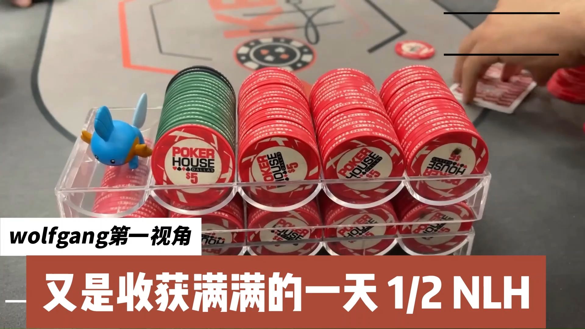 wolfgang第一视角 01 又是收获满满的一天！【转载刘公子】