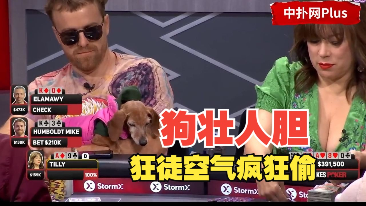 【中扑网】扑克狂徒用空气河牌疯狂开枪，是狗狗给他的勇气吗？