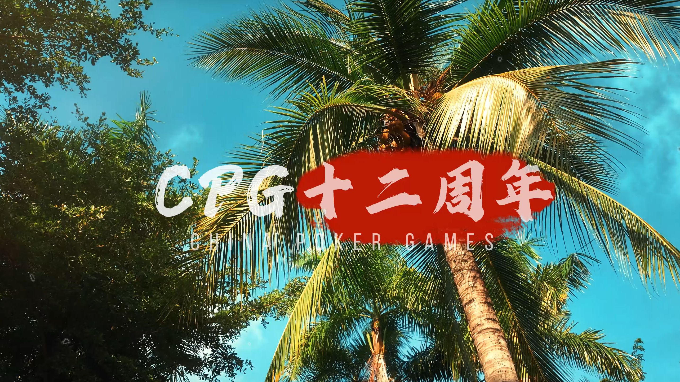 【2024 三亚CPG 01】中国正念德扑十二周年——海南国际扑克大赛开打！蒲克王大型粉丝见面会来袭！｜蒲克王的奇妙冒险｜Weiran P