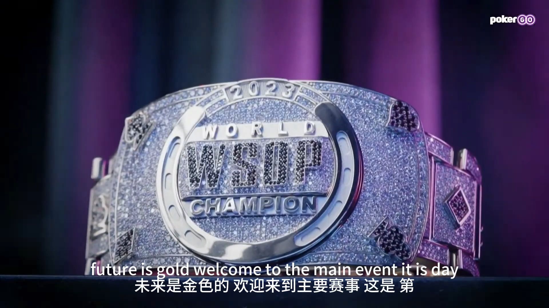 【双语字幕&解说】2024WSOP主赛_Day1A_clip1_1
