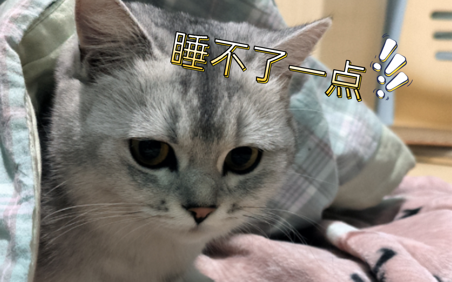 失眠到半夜系列第一弹