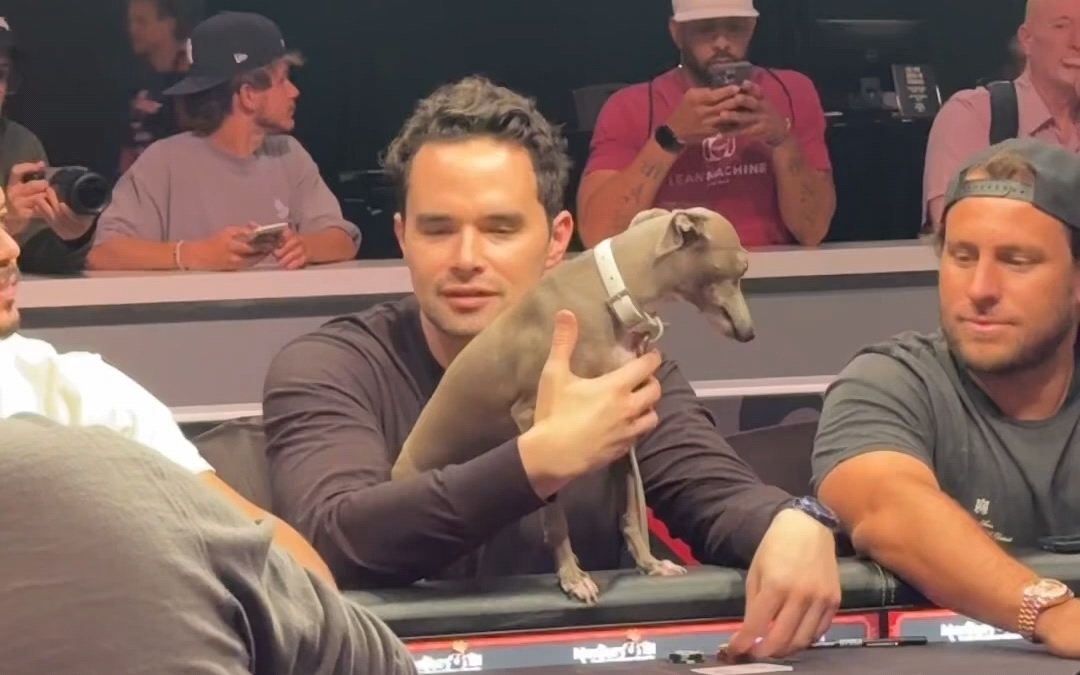 【2024WSOP】Keating公子带狗上桌