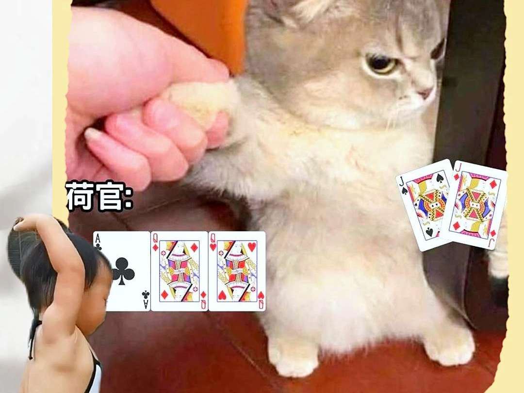 荷官我讨厌你