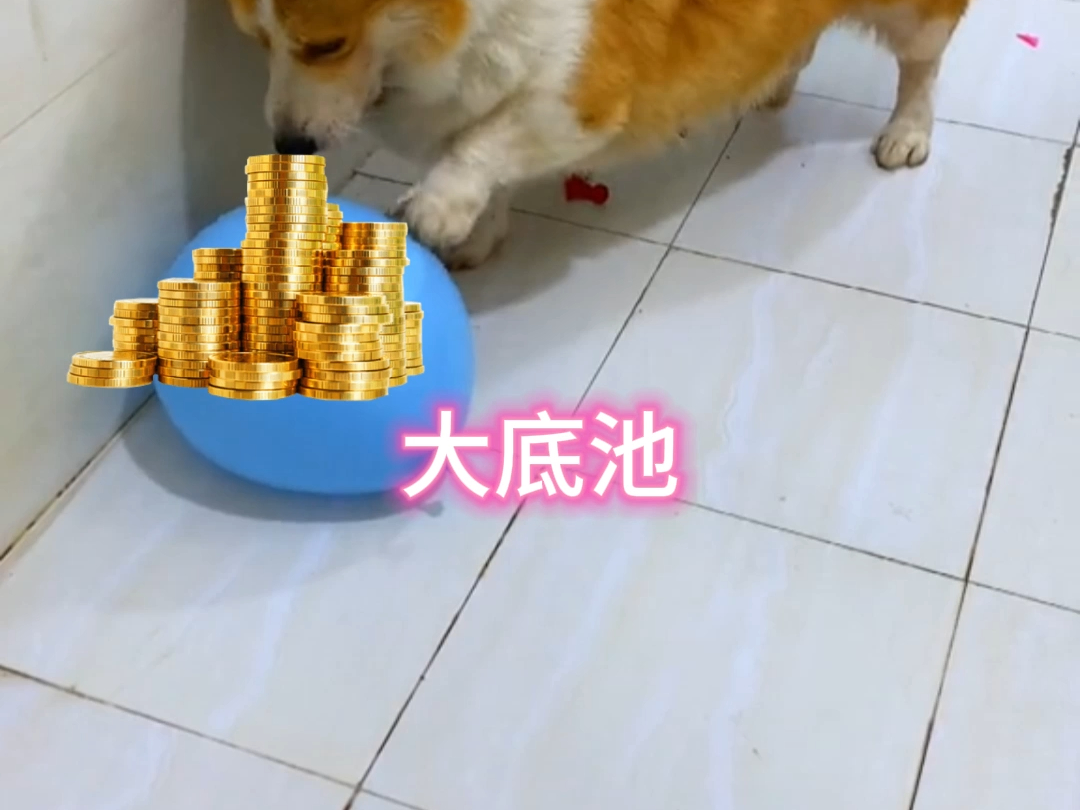 翻前的AA