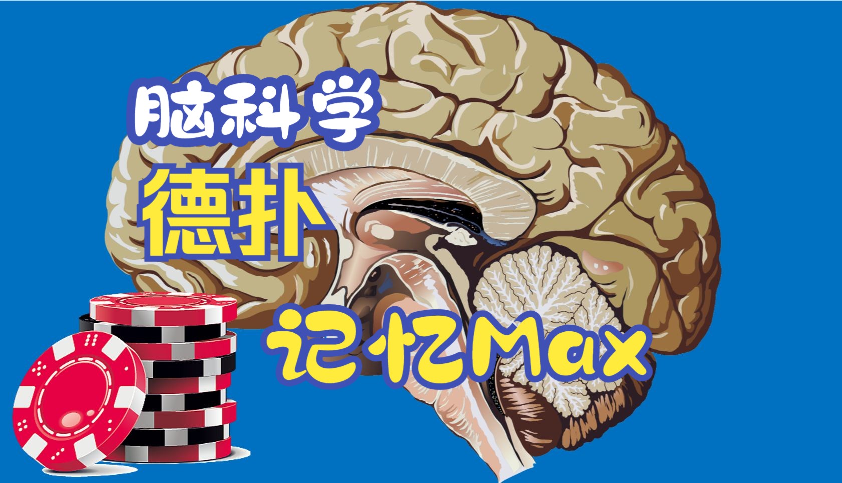 考试脑科学：改善记忆与德扑学习启示