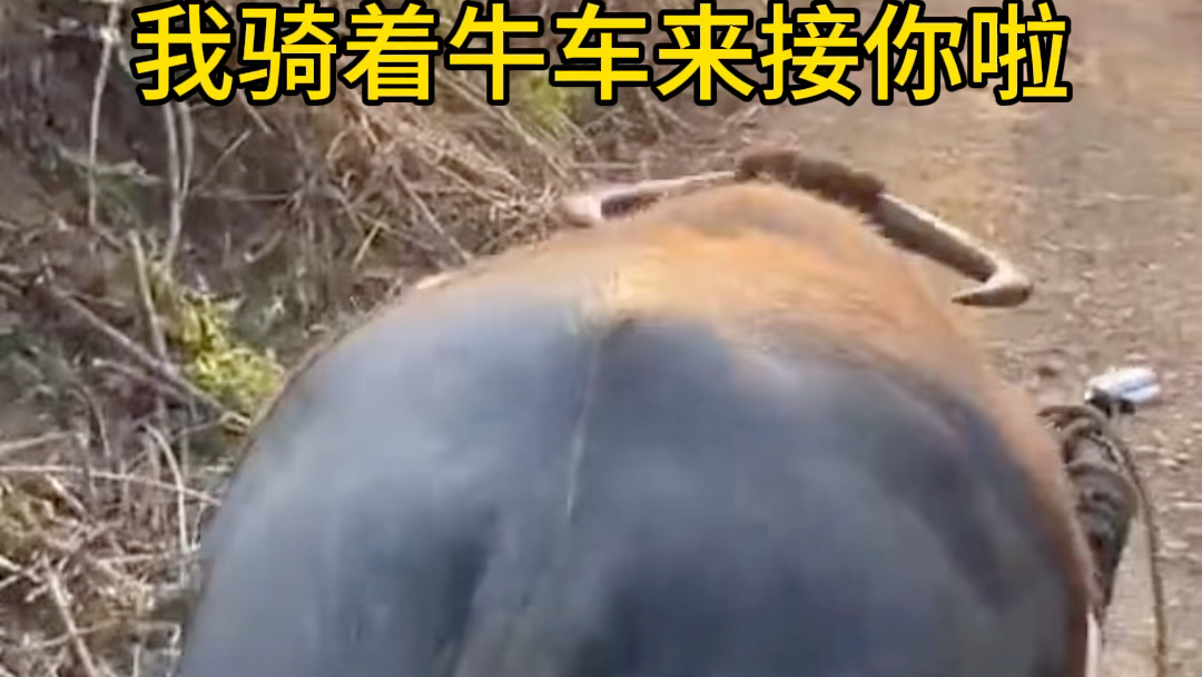 德州扑克！咕咕咕几年线更何况来了上