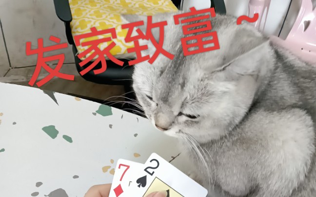 德扑主播要转行人生导师了？？