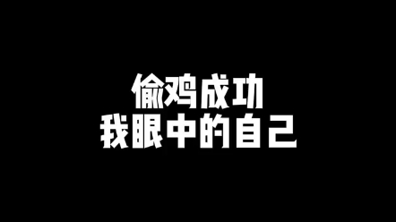 偷鸡成功我眼中的自己