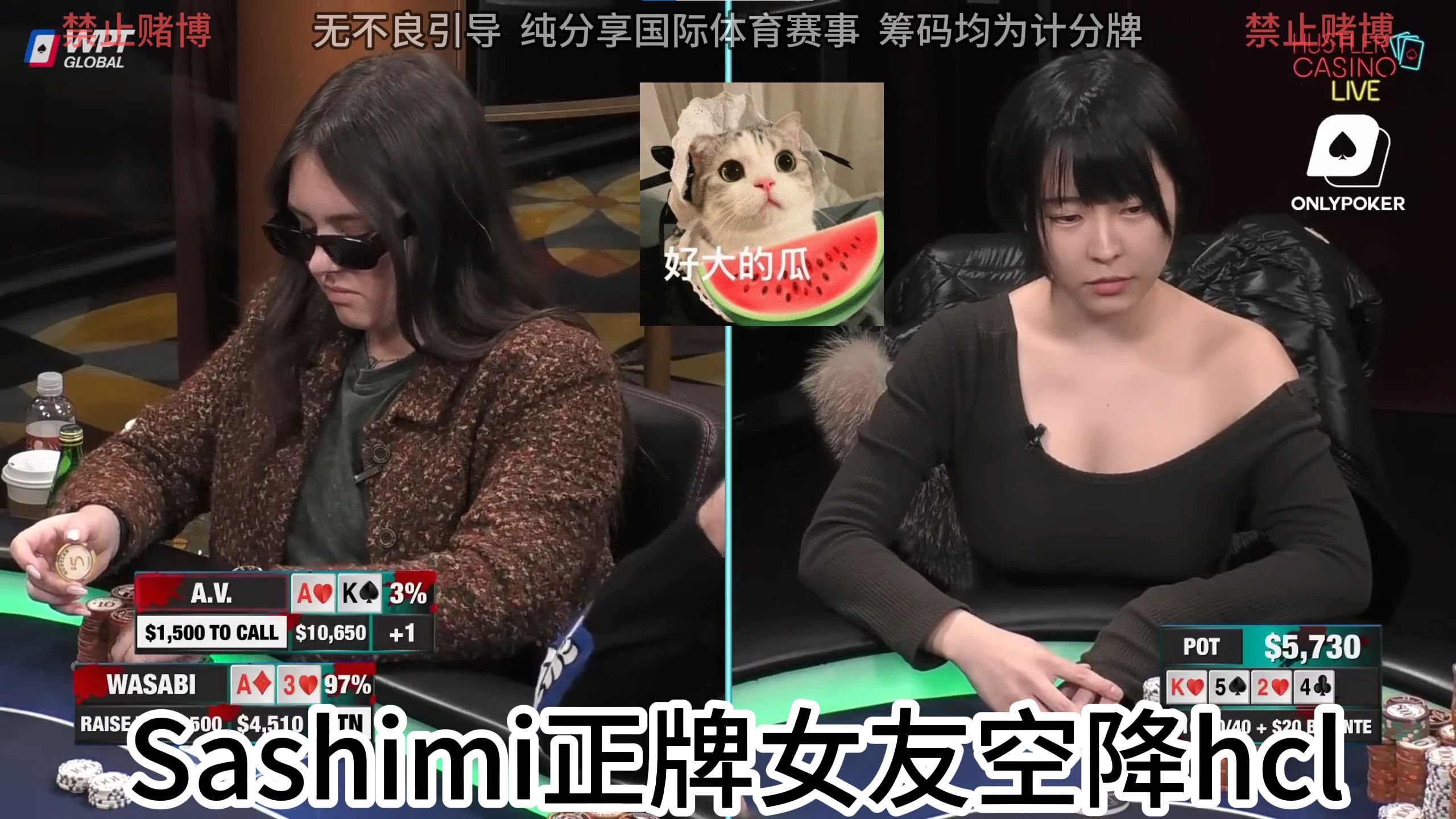 Sashimi正牌女友空降hcl！又大又凶，越发越强直接成顺！