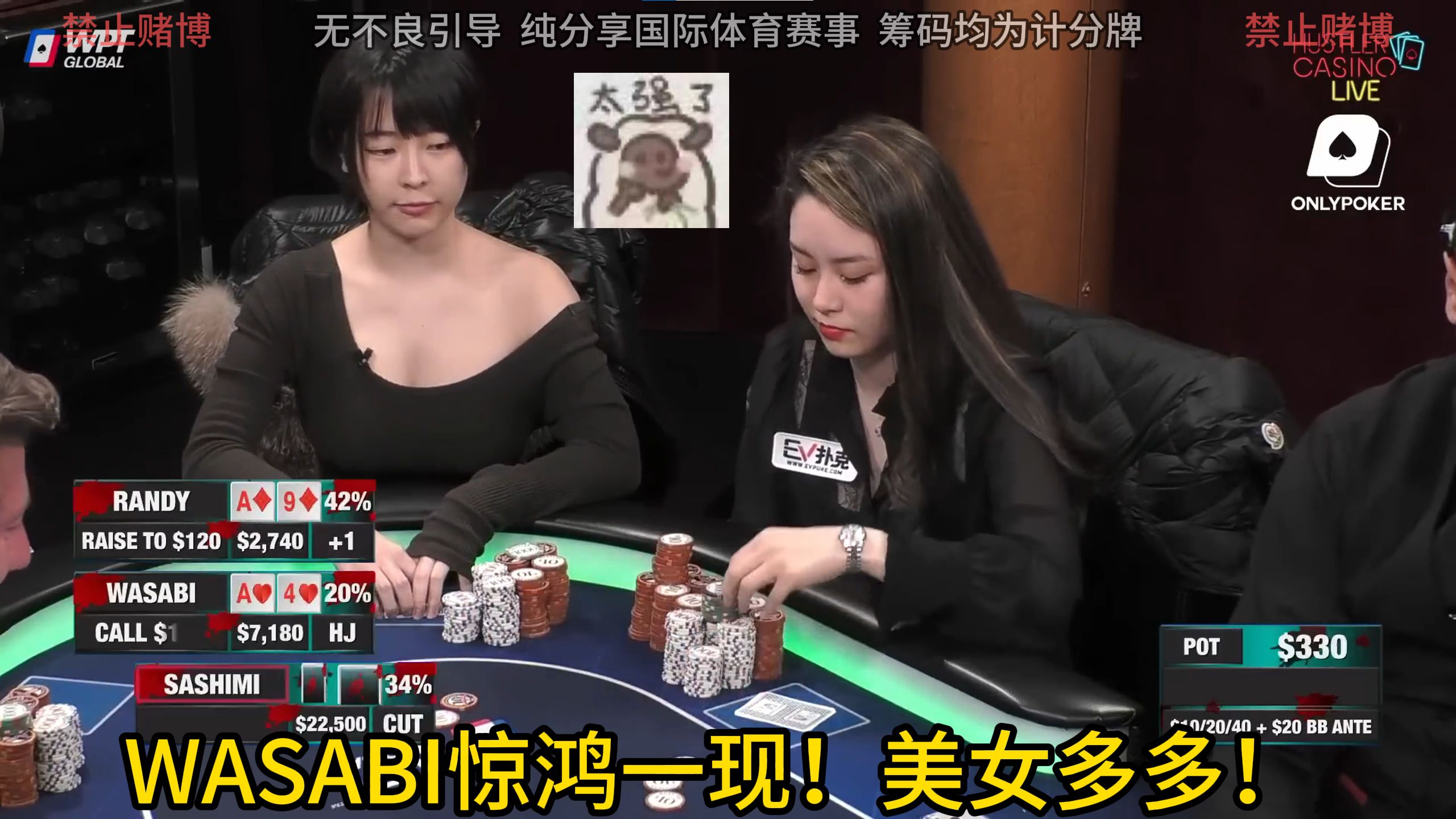 美女多多！Wasabi女神惊鸿一现，联合Sashimi勇闯hcl战场！
