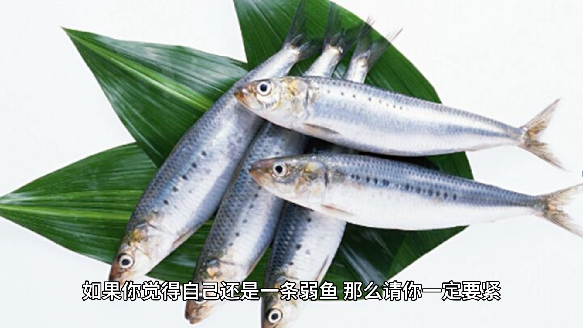 今天来聊聊德州扑克玩家的牌桌风格和