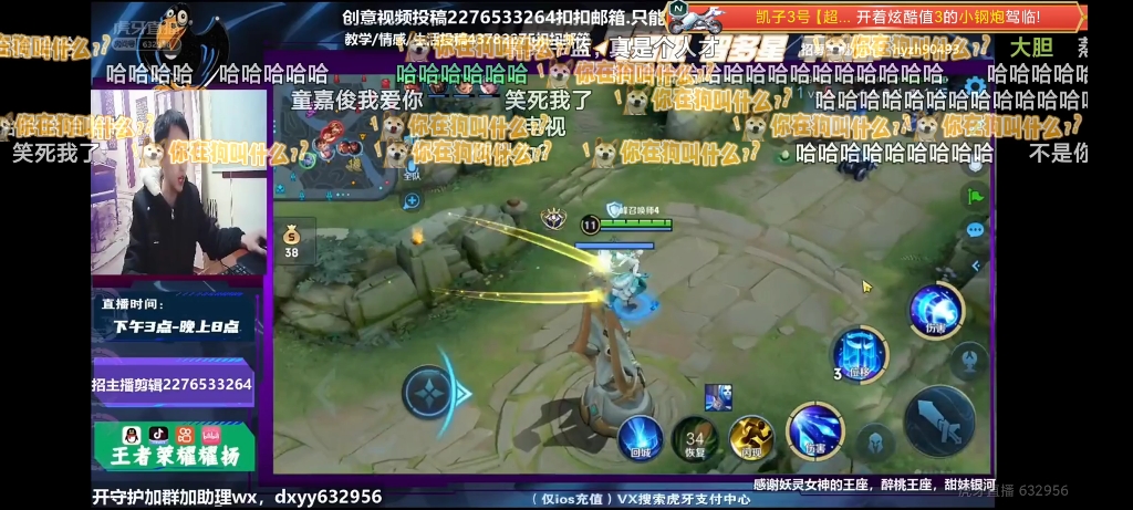 【存折dusna】最新视频上线，求关注！