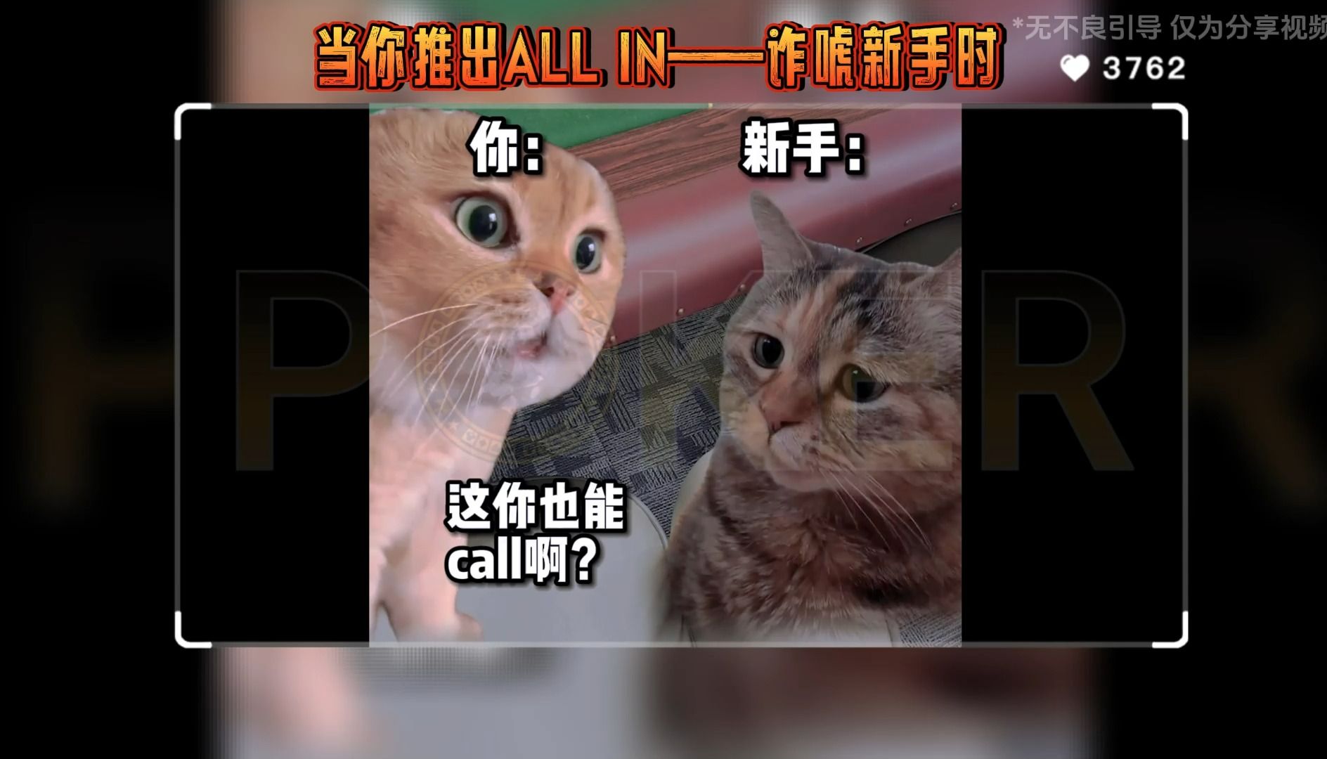 德州扑克-当你推出ALL IN——诈唬新手时