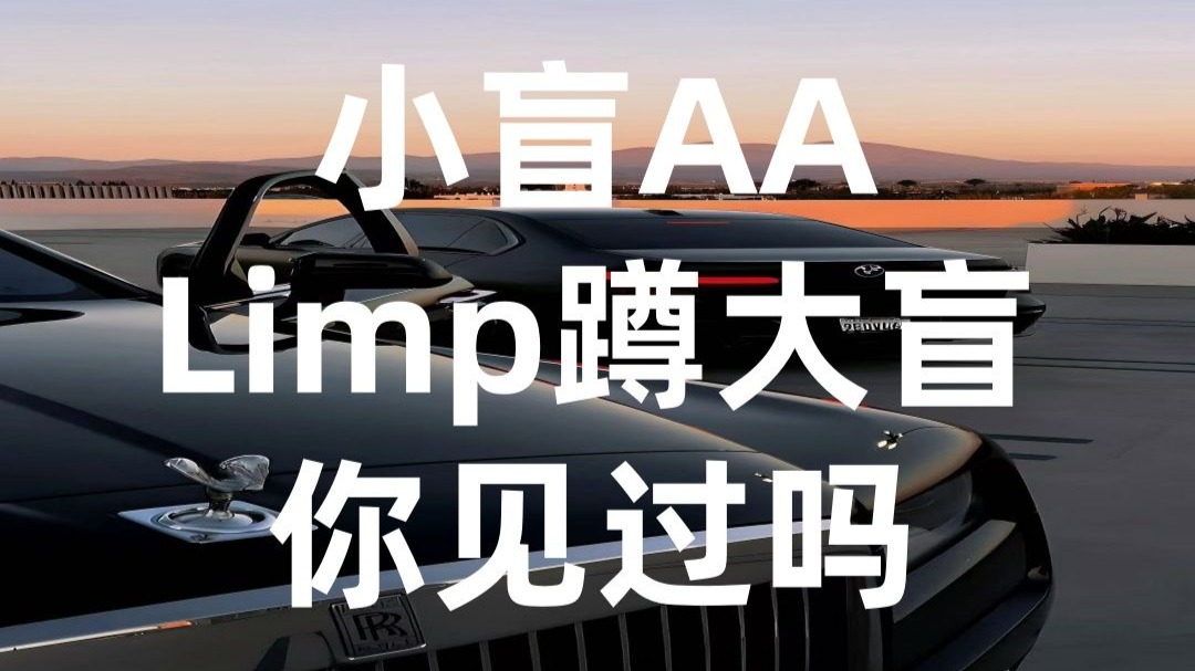 小盲AALimp蹲大盲，你见过吗？