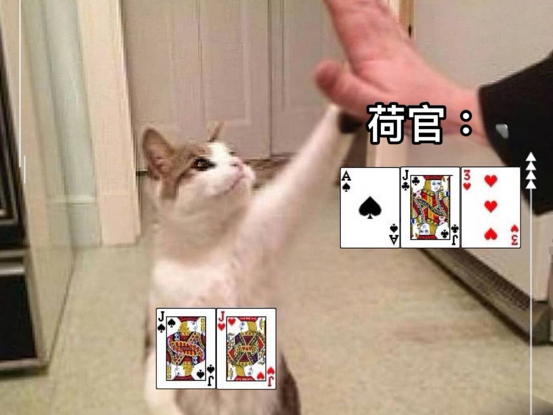 荷官姐姐爱上我